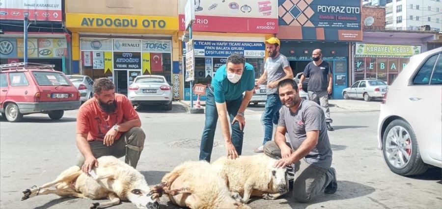 Koronaya karşı  kurban kestiler 