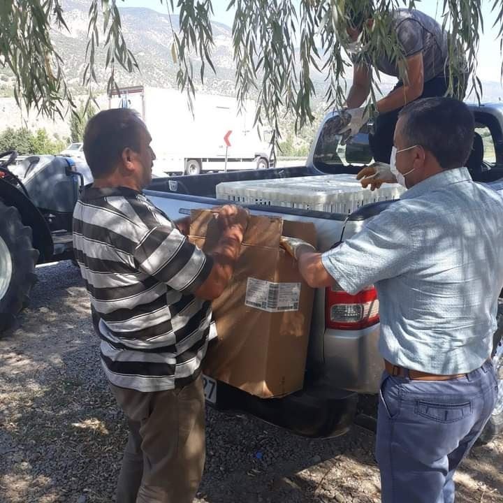 Beç tavukları kenelere geçit vermeyecek