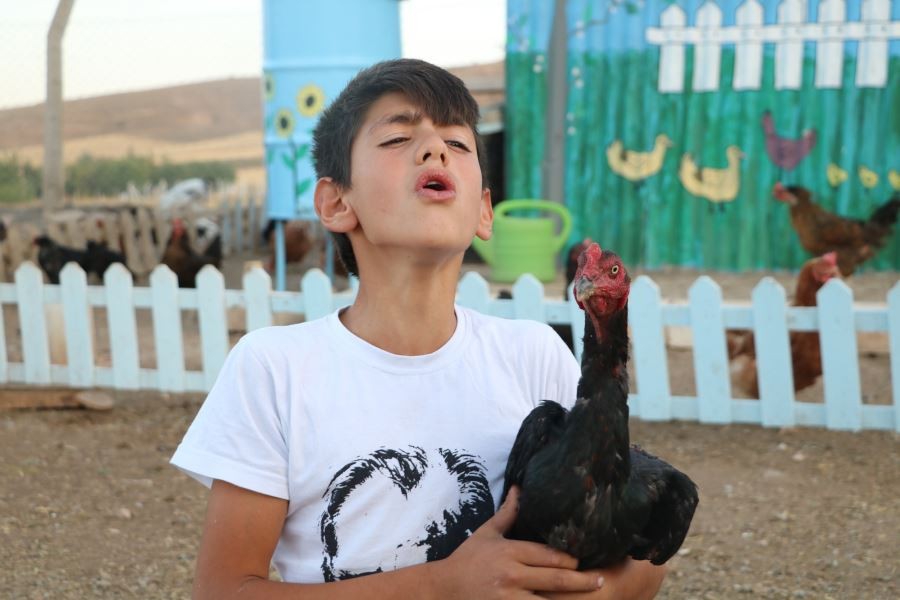 Horozlarla atışıyor, tavuklar onu horoz sanıyor