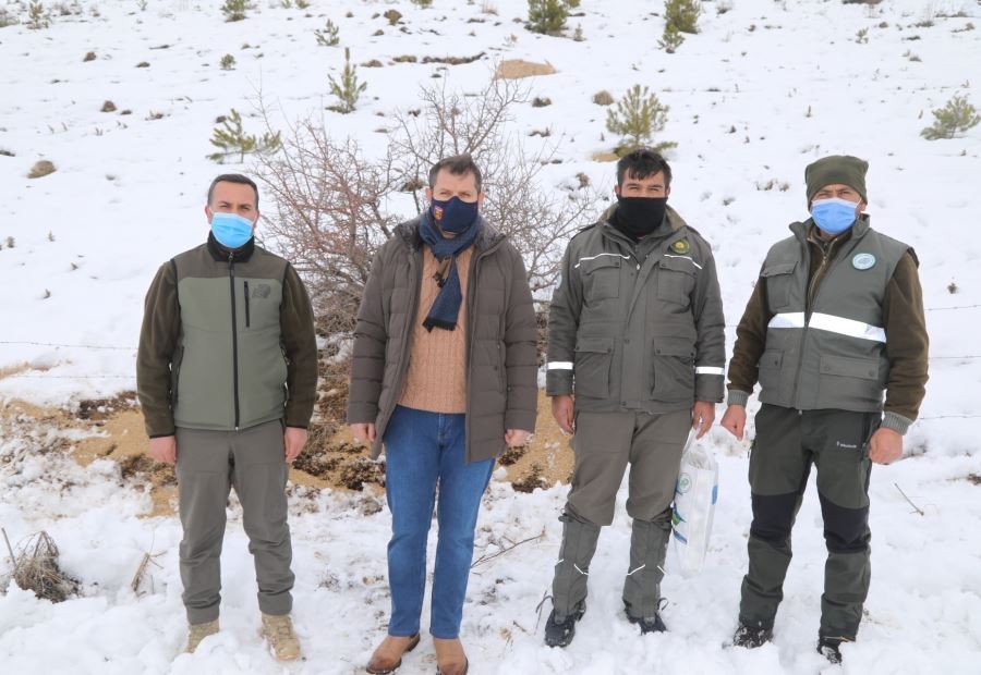 Kış Aylarında Yaban Hayvanları Unutulmadı