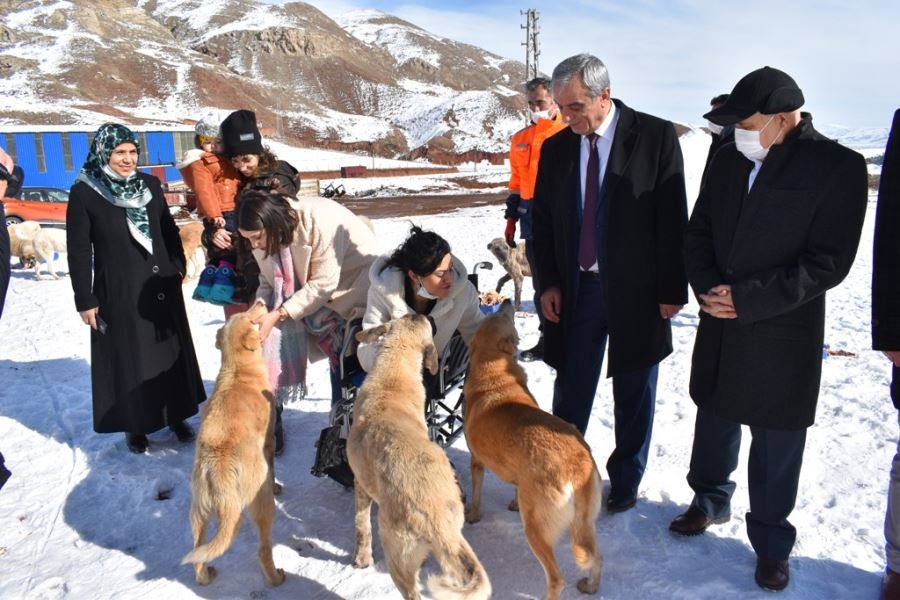 Yemek artıkları ziyan olmuyor, sokak hayvanlarının karnını doyuruyor