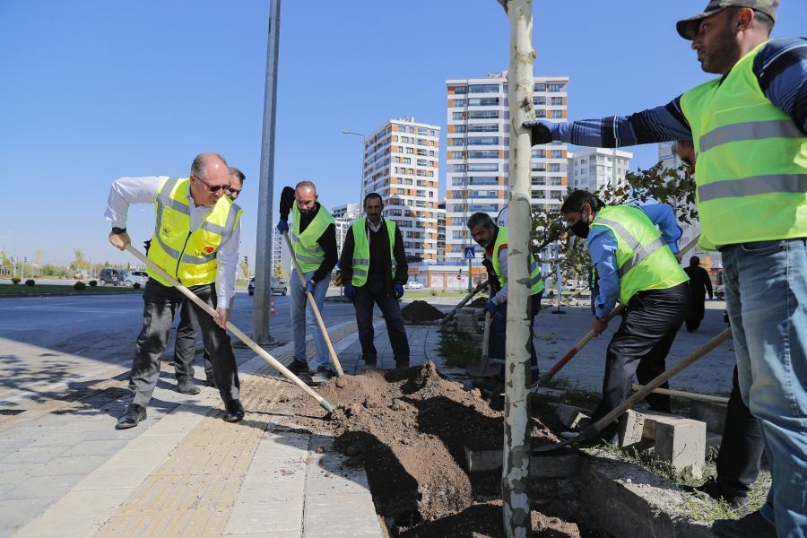 BİLGİN, 5 BİNİNCİ AĞACI TOPRAKLA BULUŞTURDU...