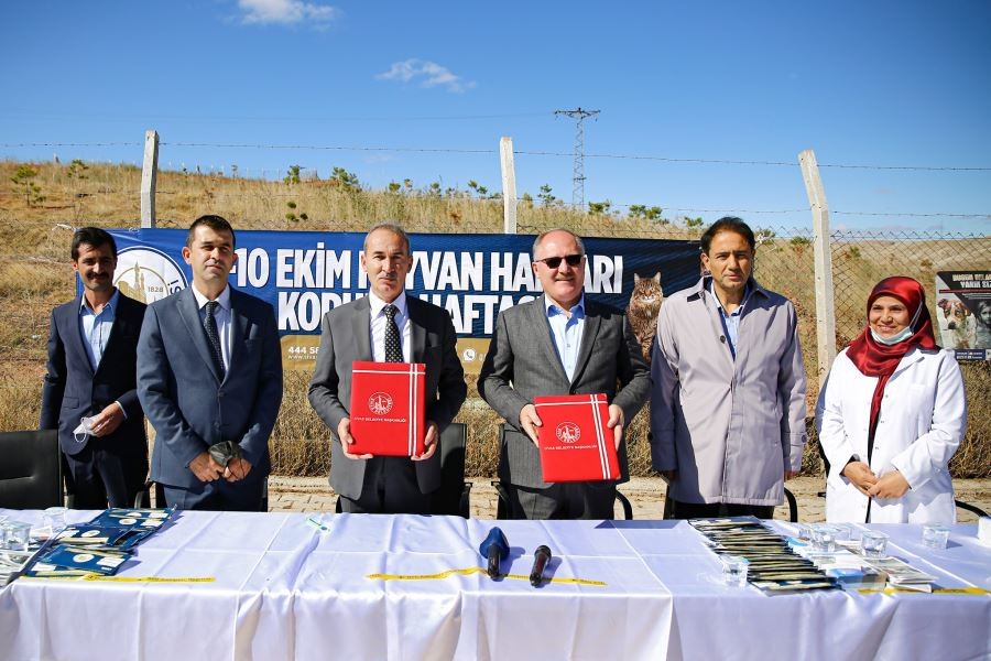 Sevimli dostlarımızın  her daim yanındayız
