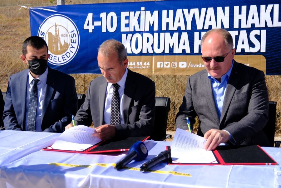 Hayvan Barınağı’ndaki Hayvanların Bakımını Veteriner Fakültesi Yapacak