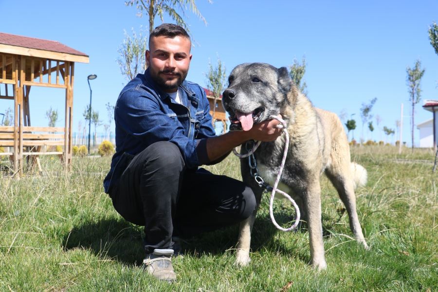 Dünyaca ünlü Kangallar bu tesiste korunuyor