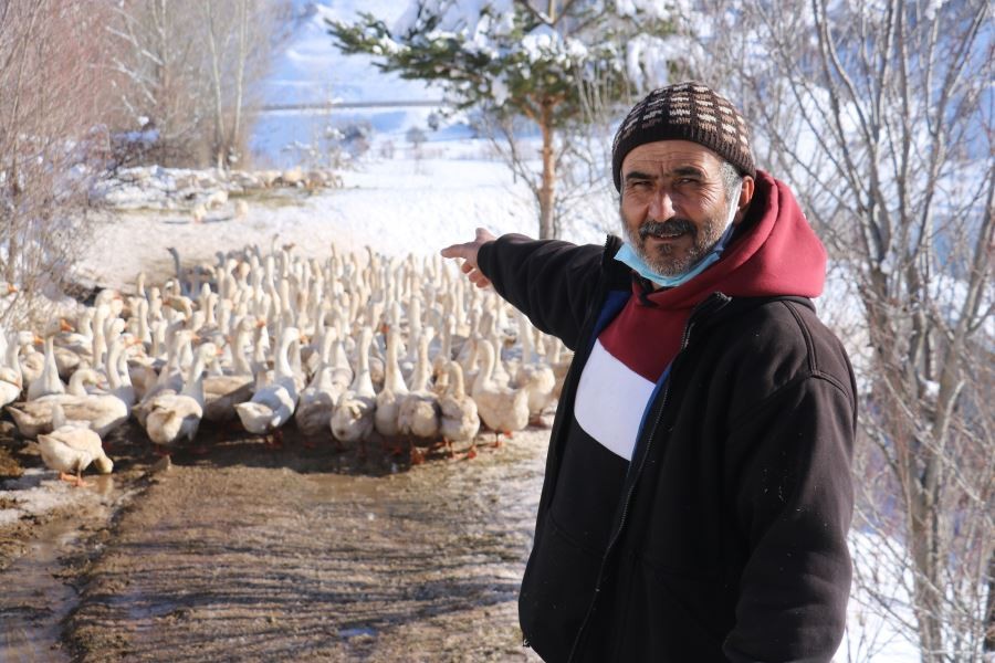 Şehir hayatı bunalttı, huzuru köyünde buldu