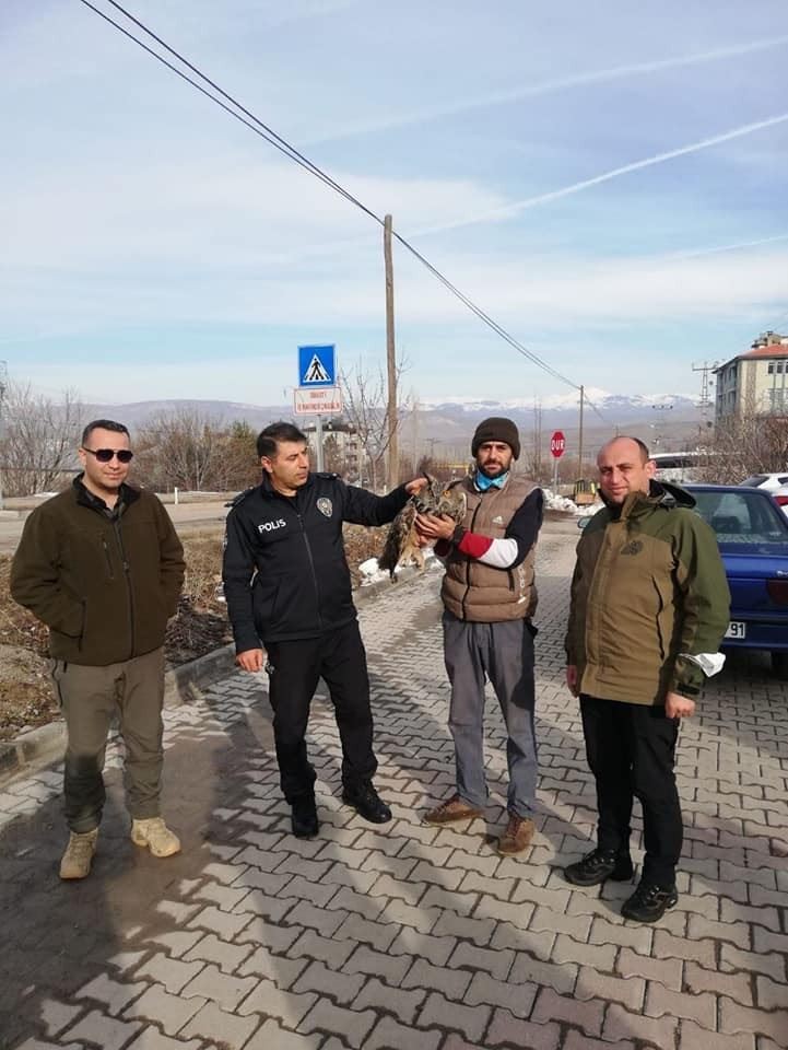Yaralı Puhu kuşu tedavi altına alındı
