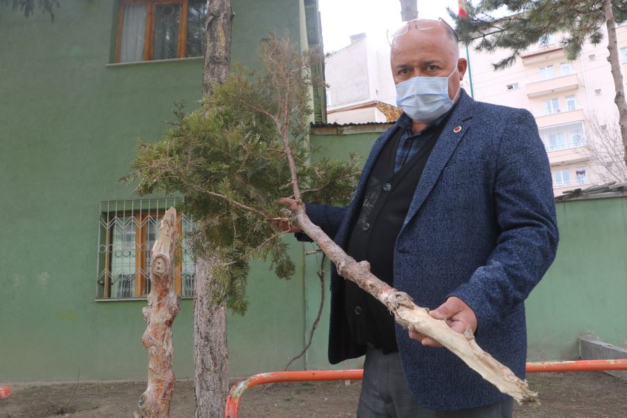 Akıl almaz görüntü, neden yaptığını hiç kimse anlamadı