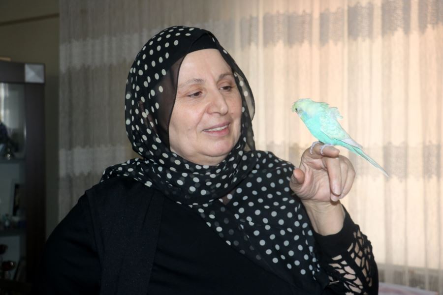 Kuş dile geldi, PKK