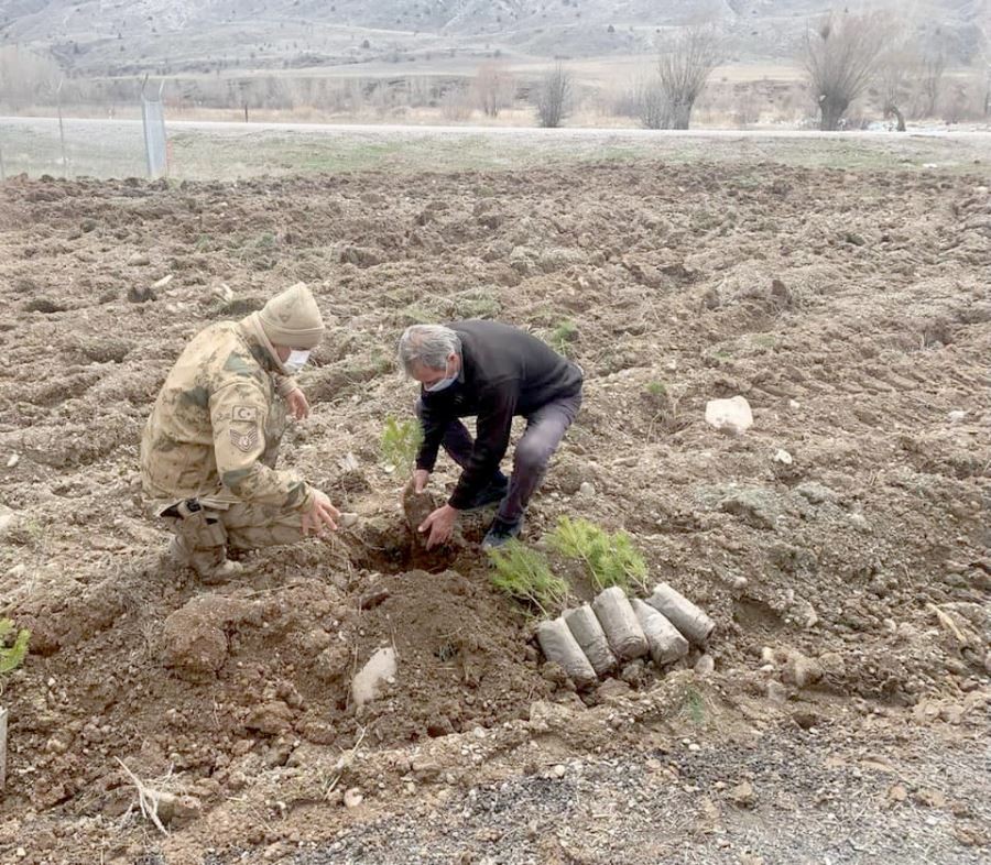 150 fidan toprakla buluşturuldu