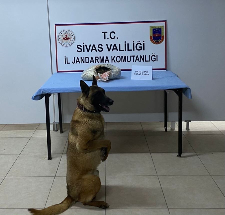  Buda yolcu beraberinde uyuşturucu