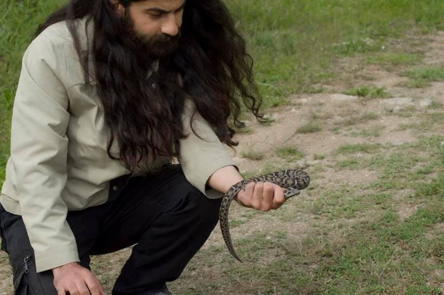  Nesli tükenme altında, Sivas’ta görüldü