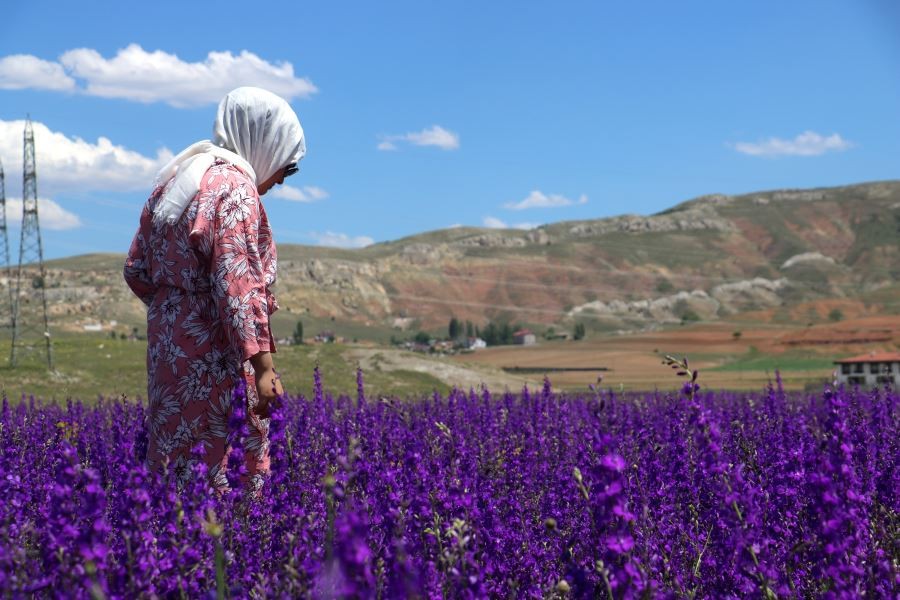 Yoldan geçen fotoğraf çekinmek için duruyor