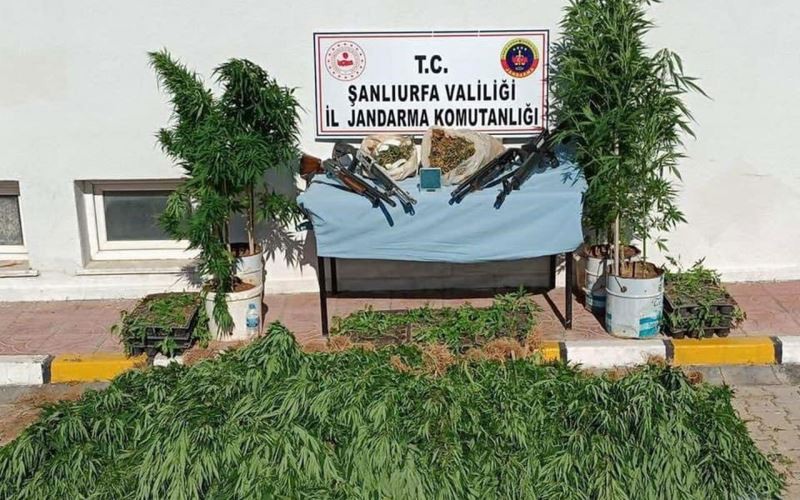 Jandarmadan Şanlıurfa ve Hatay’da uyuşturucu operasyonu