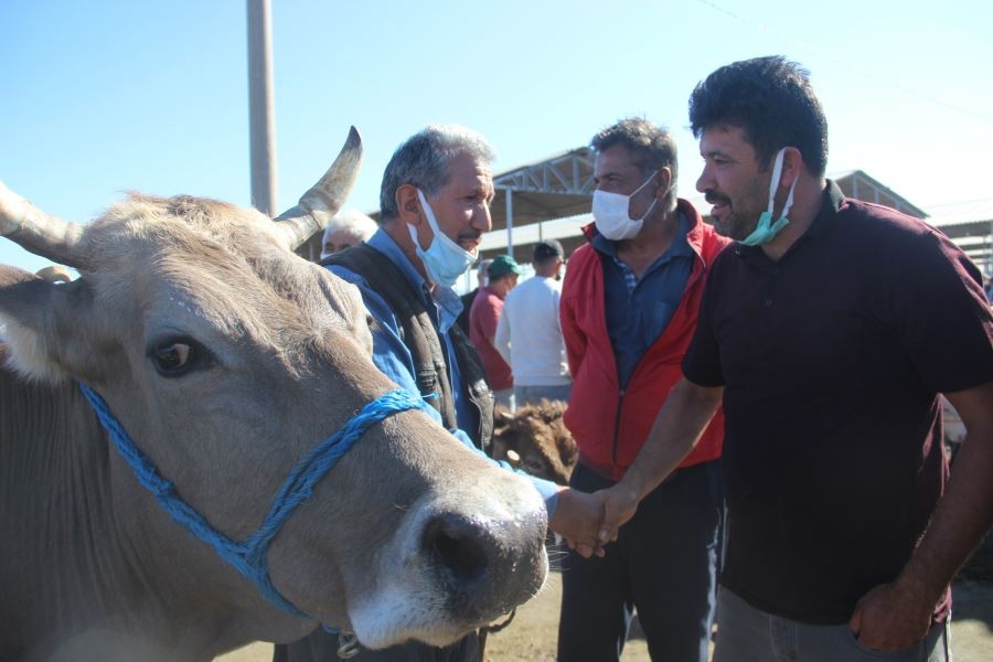 İç Anadolu