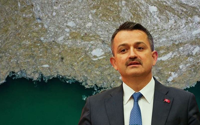 Bakan açıkladı: Müsilajdan etkilenen balıkçılara destek