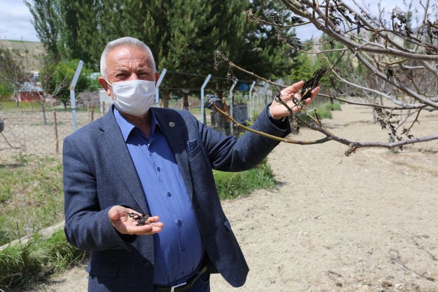  Anız yakanlar dikkat, para cezası uygulanıyor 