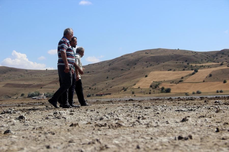 Sivas