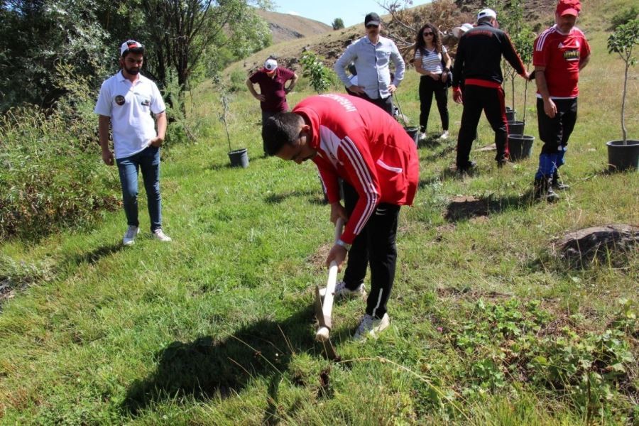 Yangınlar anısına hatıra ormanı oluşturuldu
