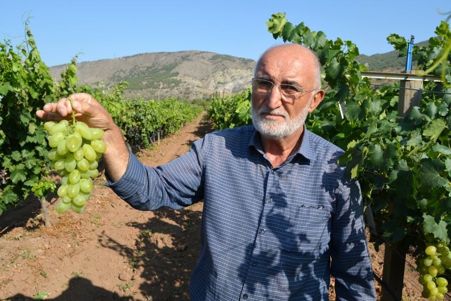 Denemek için ekti, günde 1 ton ürün alıyor
