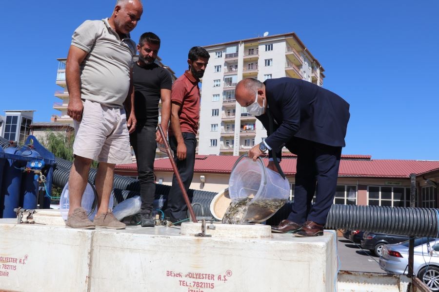 Sivas’ta göller balıkla dolup taşacak