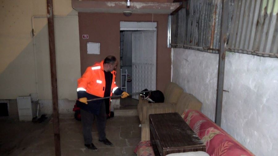  Sivas’ta pitbull paniği
