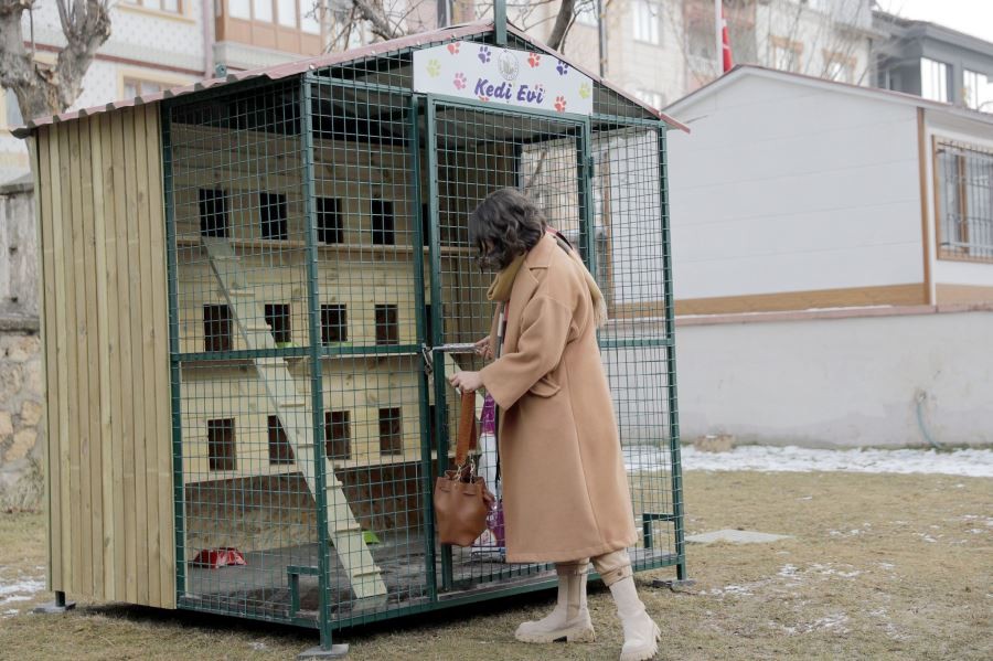 Kedi evleri  yaygınlaşacak