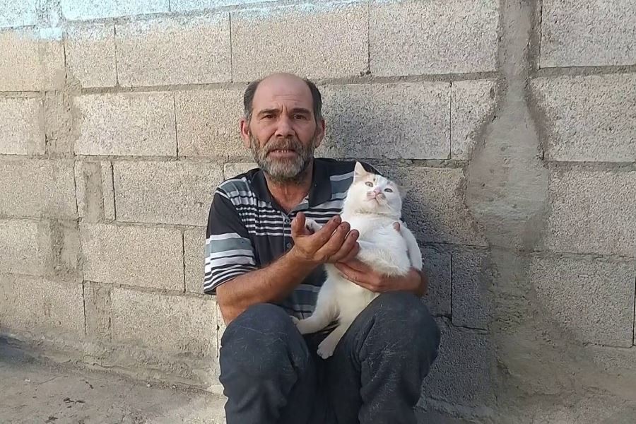 Kediler babası: “Bunlar benim sadık dostlarım”