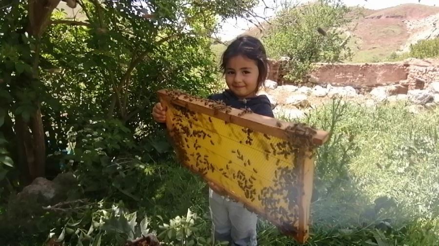   Heidi değil, Sivaslı Hira