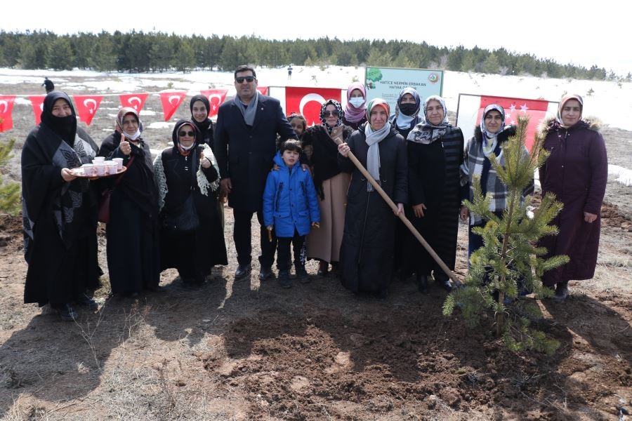 UMUT ORMANI’NDA  FİDANLAR YEŞERECEK