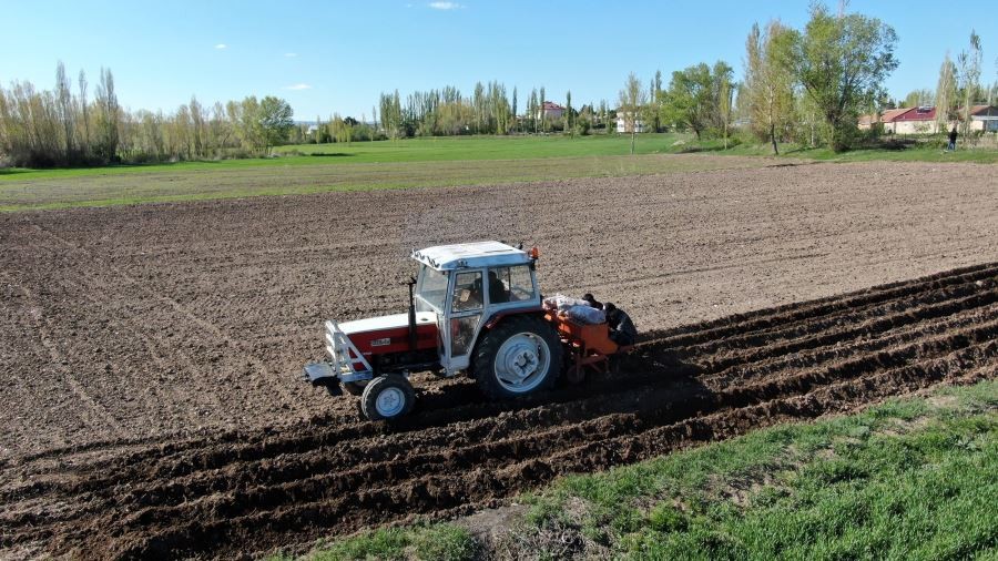 On binlerce patates toprakla buluştu