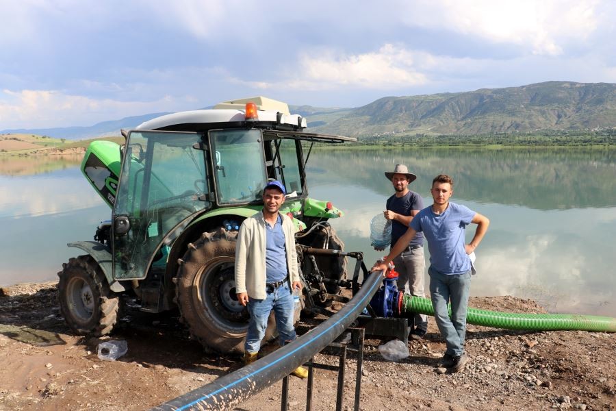 Milyonluk adaya müşteri çıkmadı, onlarda atayı sürüp yem bitkisi ekti