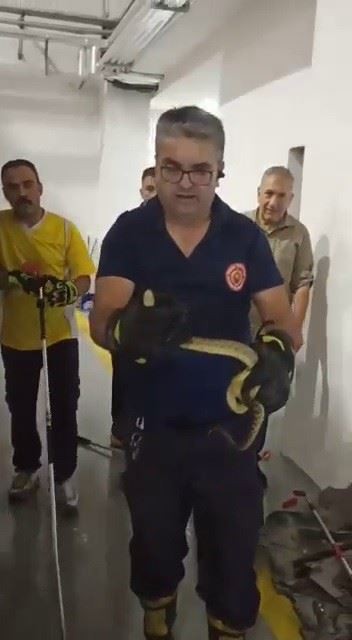 İtfaiye aracına giren yılanı yine itfaiyeciler çıkardı
