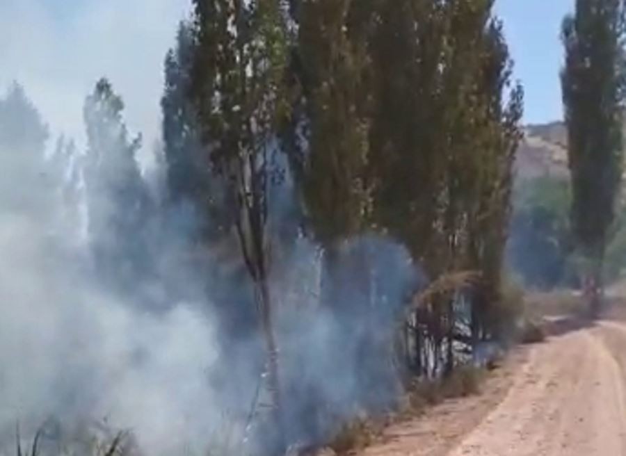 Ağaçlık alanda çıkan yangın korkuttu