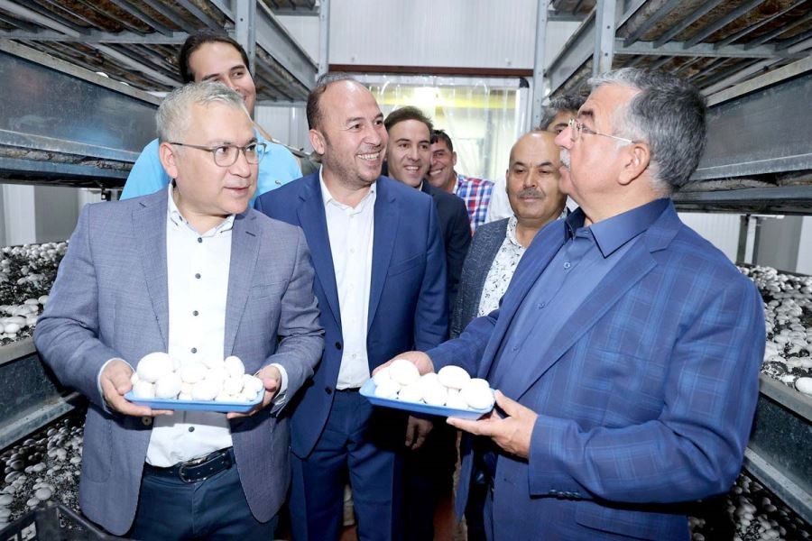 İNCESU TARIM’DAN SİVAS EKONOMİSİNE BÜYÜK KATKI