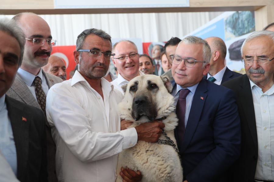   Sivas, İstanbul’da tanıtıldı