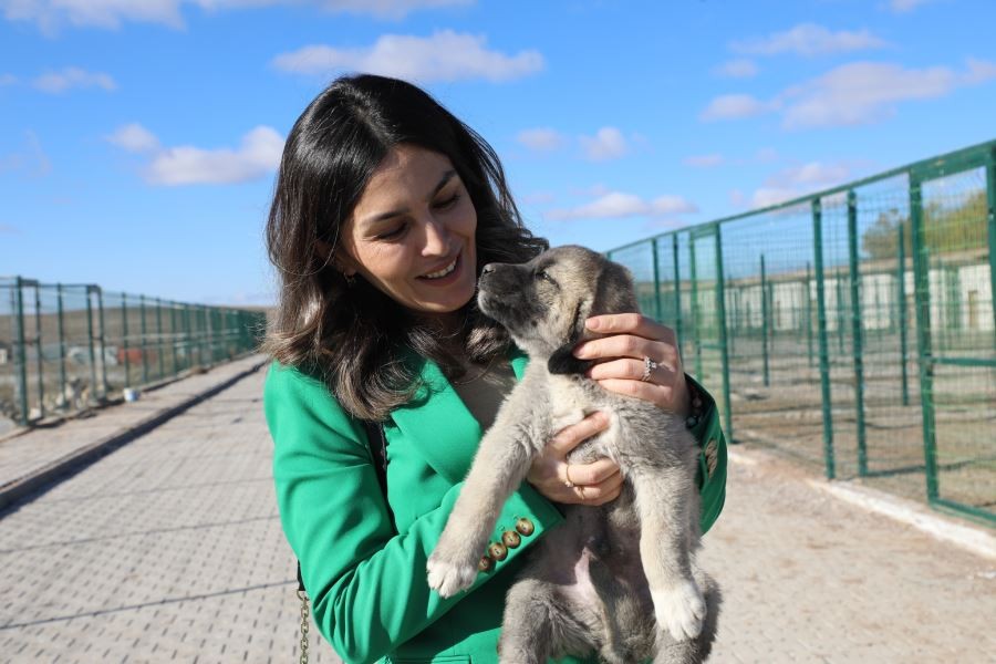 Şimşek, Kangal’da ziyaretlerde bulundu 