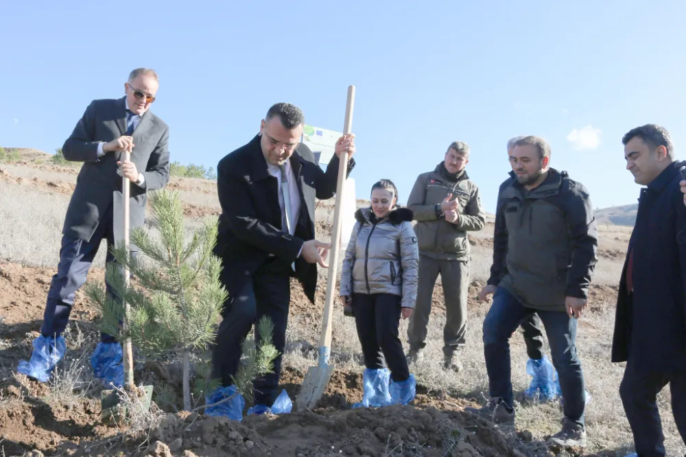 Sivas TSO hatıra ormanı oluşturdu 