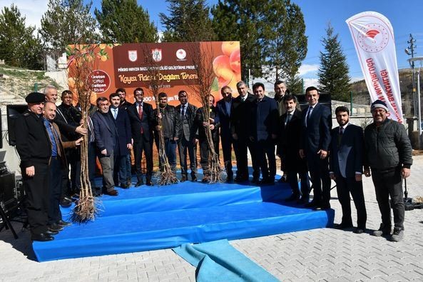 Sivas