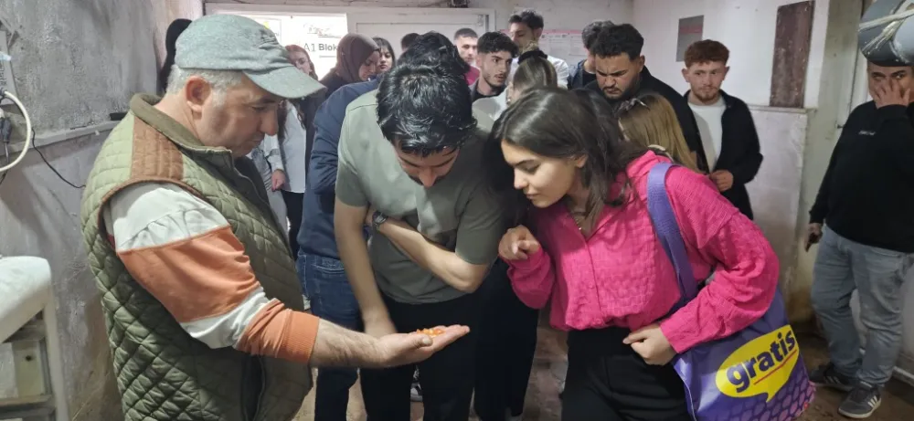 Öğrencilerden alabalık üretim çiftliğine ziyaret