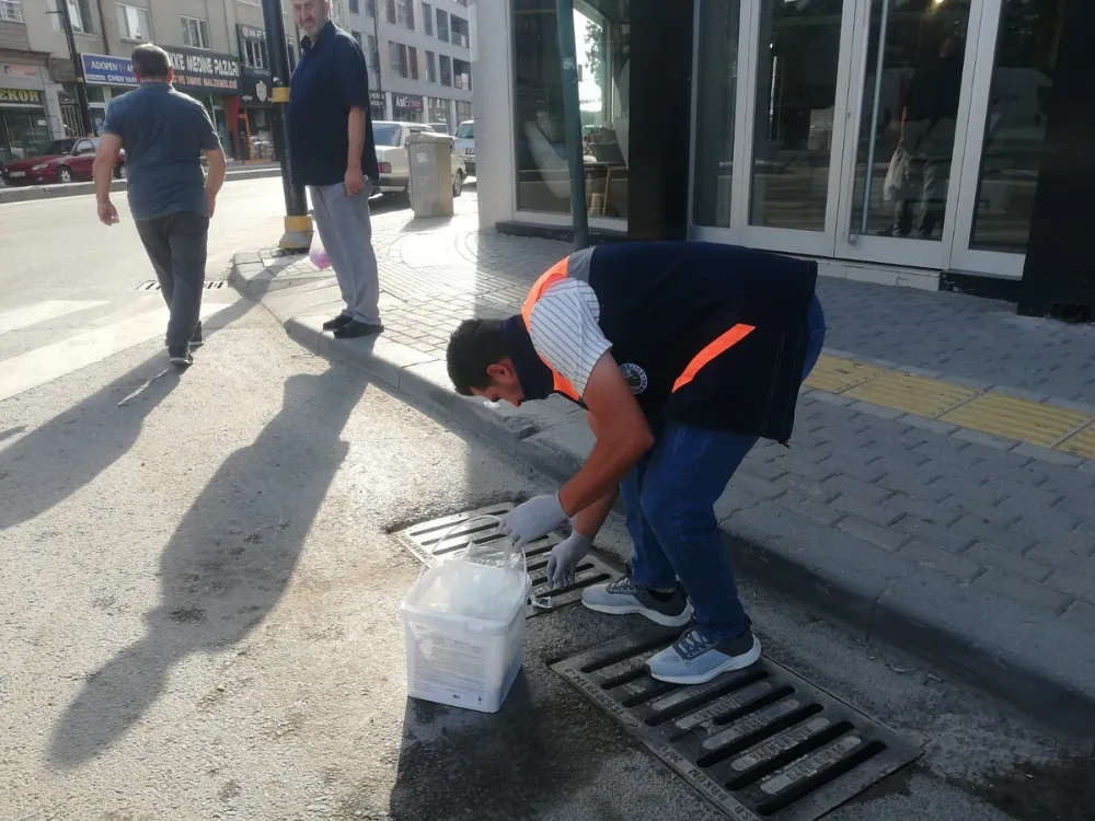 Sivas Belediyesi Fare ve Kemirgenlere Karşı Kesintisiz İlaçlama Çalışması Yürütüyor