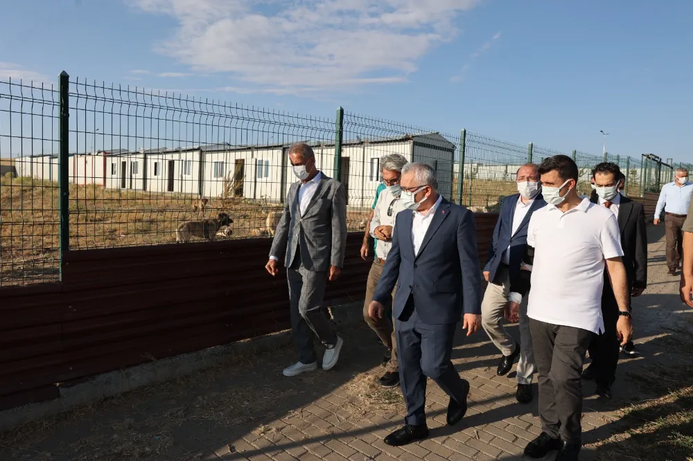 Sivas Valisi Şimşek’ten Sokak Hayvanlarına Anlamlı Ziyaret