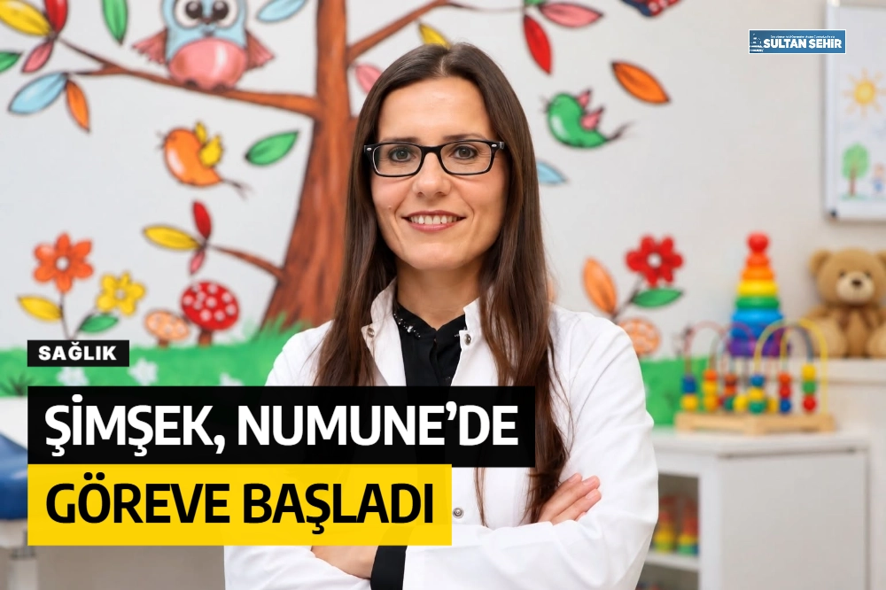 Şimşek, Numune’de göreve başladı